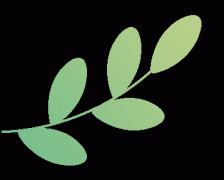 过实地讲授取现场互动 